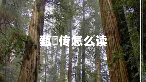 甄嬛傳怎么讀