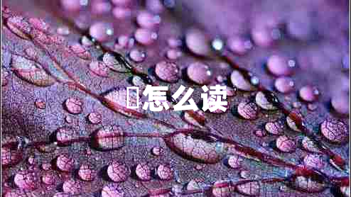 筽怎么讀
