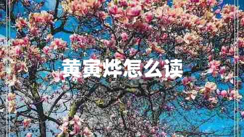 黃寅燁怎么讀
