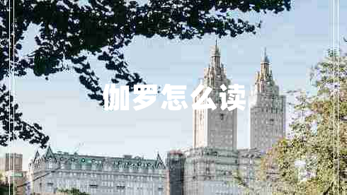 伽羅怎么讀