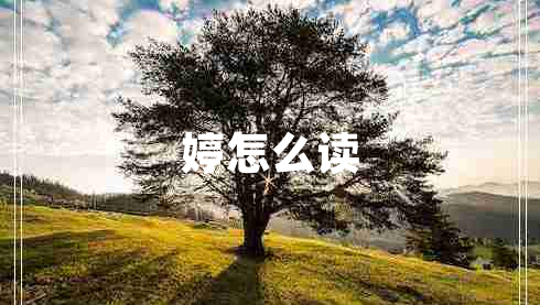 婷怎么讀