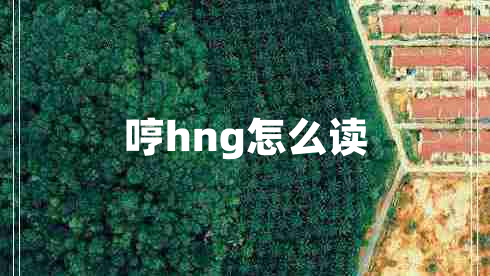 哼hng怎么讀