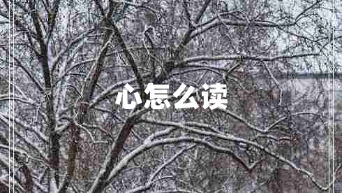 心怎么讀