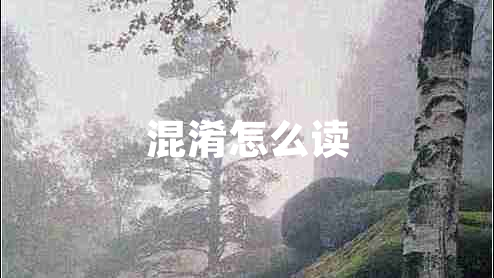 混淆怎么讀