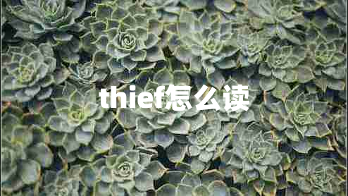 thief怎么讀