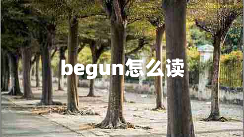 begun怎么讀