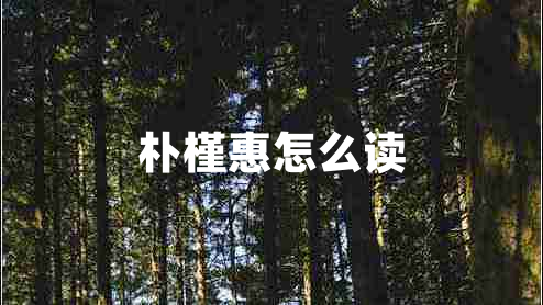 樸槿惠怎么讀