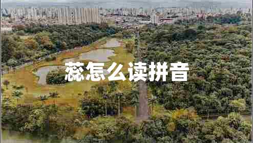 蕊怎么讀拼音