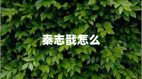 秦志戩怎么