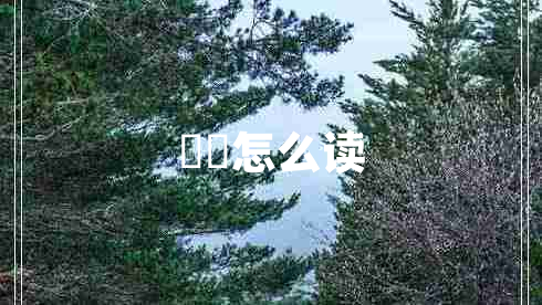 睒睒怎么讀