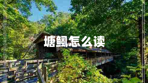 塘鲺怎么讀
