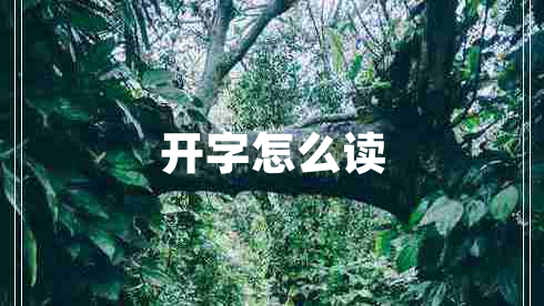 開(kāi)字怎么讀