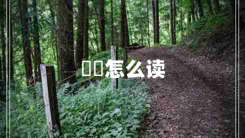 騳骉怎么讀