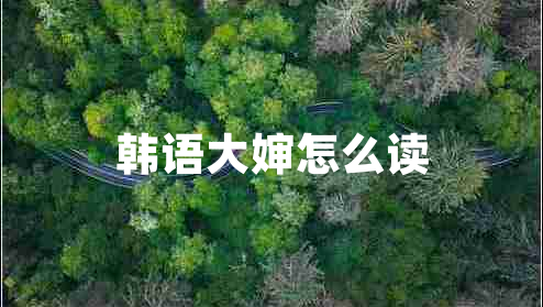 韓語(yǔ)大嬸怎么讀