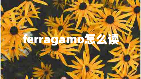 ferragamo怎么讀