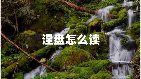 涅盤(pán)怎么讀