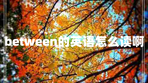 between的英語(yǔ)怎么讀啊