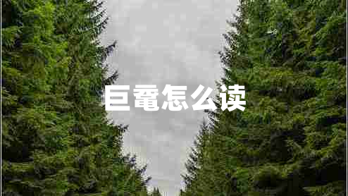 巨黿怎么讀