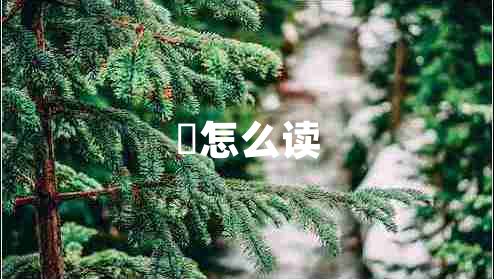 觽怎么讀