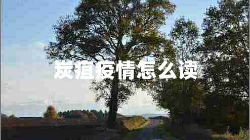 炭疽疫情怎么讀