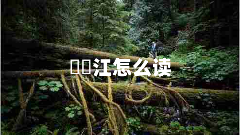 牂牁江怎么讀
