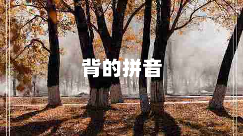 背的拼音
