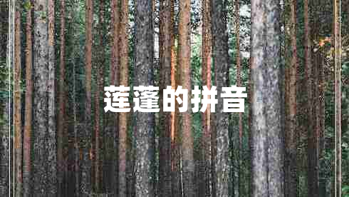 蓮蓬的拼音