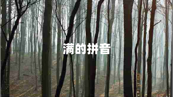 滿(mǎn)的拼音
