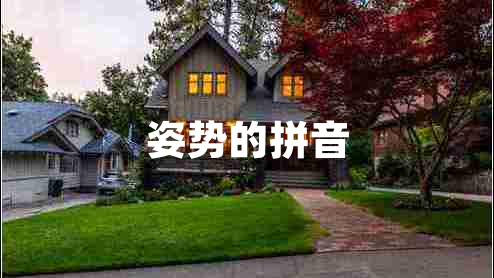 姿勢的拼音