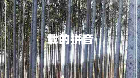 載的拼音