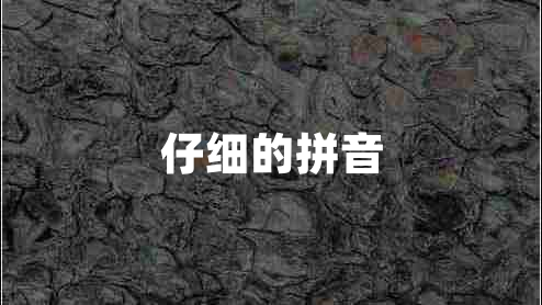 仔細的拼音