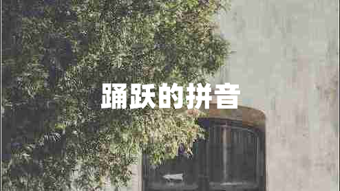 踴躍的拼音