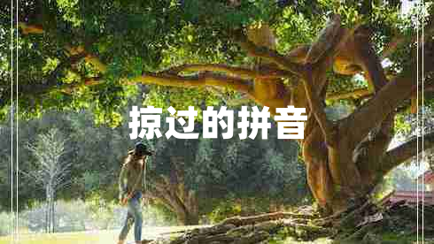 掠過(guò)的拼音