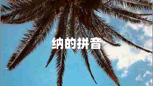 納的拼音