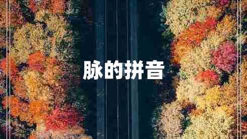 脈的拼音