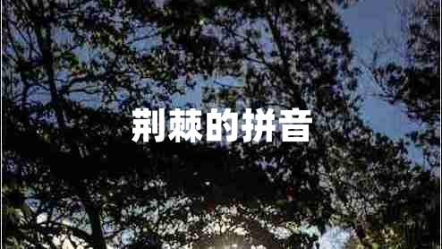 荊棘的拼音
