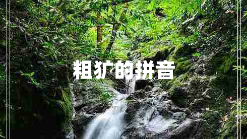 粗獷的拼音