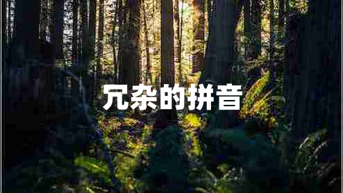 冗雜的拼音