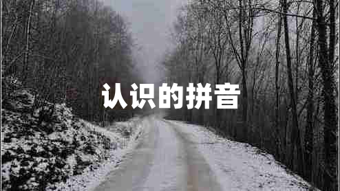 認識的拼音