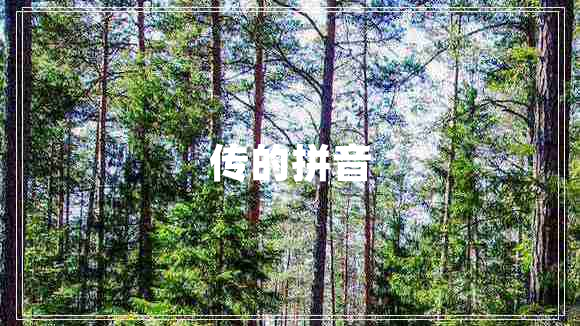 傳的拼音