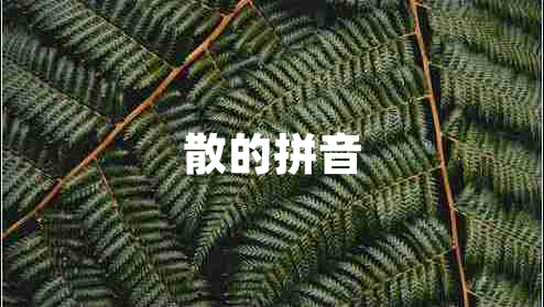 散的拼音