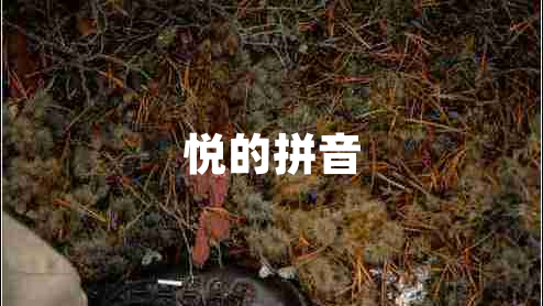 悅的拼音