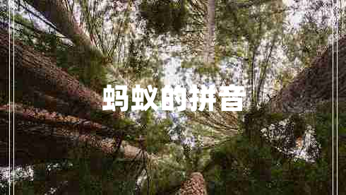 螞蟻的拼音
