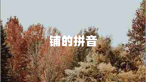 鋪的拼音