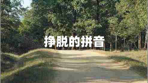 掙脫的拼音