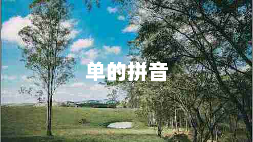 單的拼音