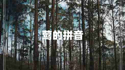 鶯的拼音