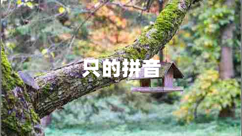 只的拼音