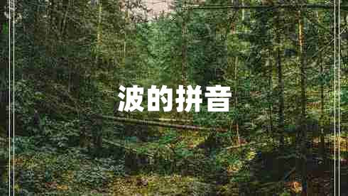 波的拼音