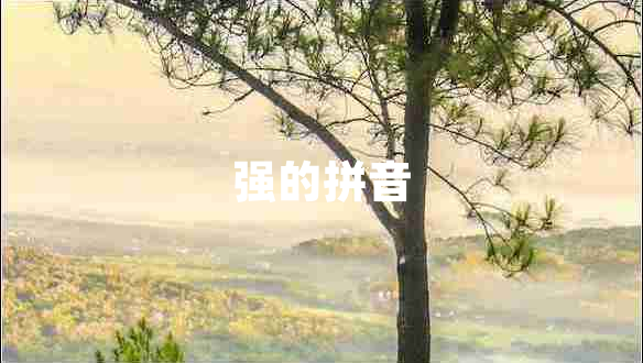 強的拼音
